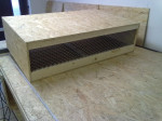 Prepelica japonská – fotka 2
